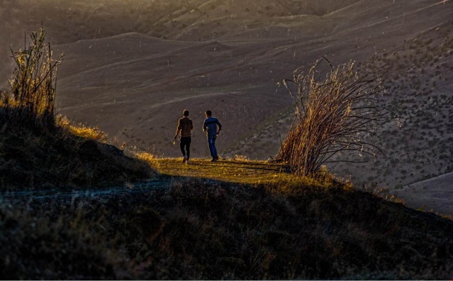 Hizan Fotosafari 2018