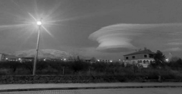 Adilcevaz'da şaşırtan görüntü