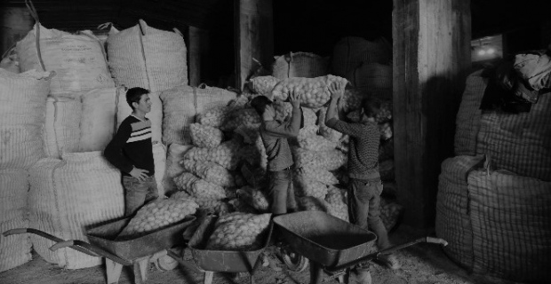 Ahlat'tan Irak'a patates ihracı