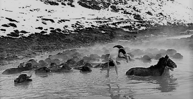 Mandaların dondurucu soğukta kaplıca keyfi