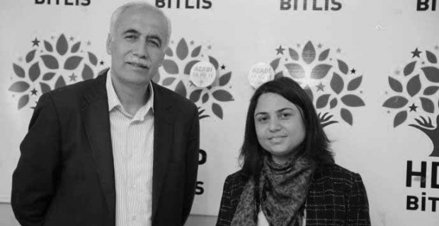 HDP Bitlis adayları 'Oyumuzu kullanalım, sandığımızı koruyalım'
