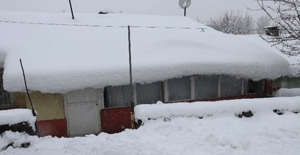 Bitlis'te tek katlı evler kara gömüldü 50'den fazla köy yolu ulaşıma kapandı