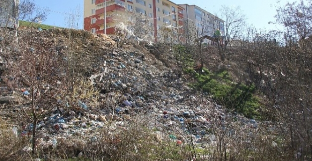 Bitlis Belediyesinin çalışmaları devam ediyor