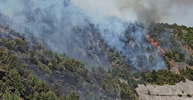 Bitlis’te 6 noktada orman yangını devam ediyor