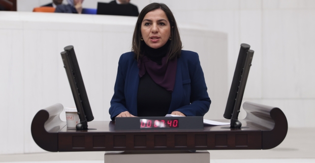 Bitlis milletvekilleri Emin Geylani için meclis araştırma komisyonu talep etti
