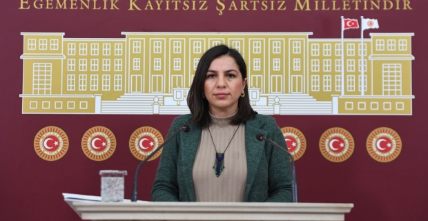 Bitlis milletvekili Gökalp Bitlisin sorunlarıyla ilgili mecliste basın açıklaması yaptı