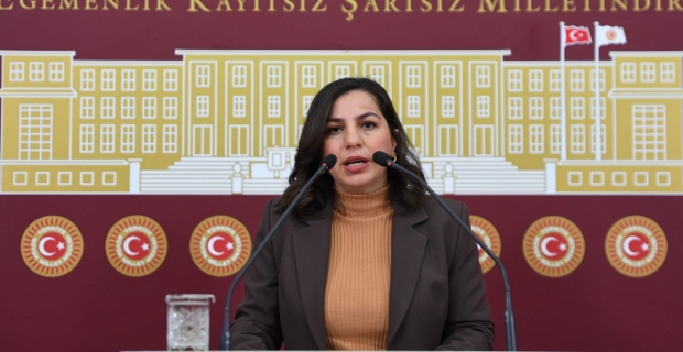 Bitlis milletvekili Gökalp, Bitlis ve Ahlat Cezaevi sorunlarını meclise taşıdı