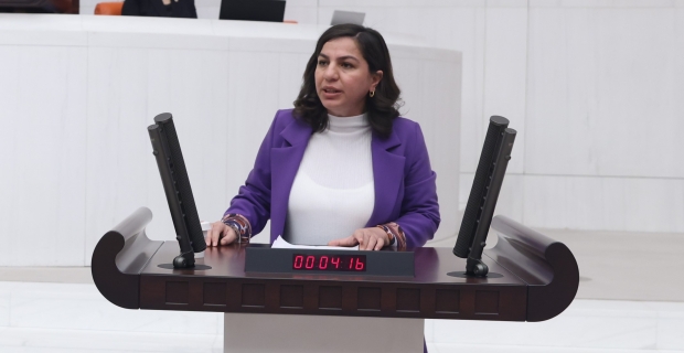 Gökalp Bitlis'teki seçmen usulsüzlüklerini meclise taşıdı