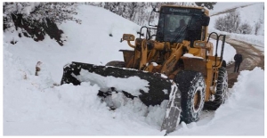 Bitlis'te kar yağışından kapanan köy yolları açılıyor