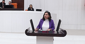 Bitlis milletvekili Gökalp, ÇEDES uygulamalarını bakana sordu