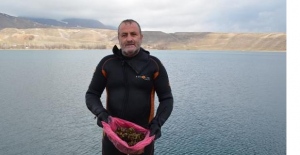 Aygır Gölü, zebra midye tehlikesi ile karşı karşıya
