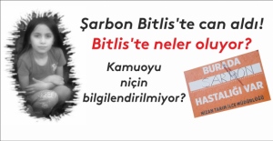 Şarbon Bitlis'te can aldı!