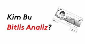 Kim bu Bitlis Analiz?
