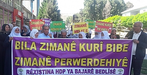 HDP Bitlis: "Kürtçe resmi ve eğitim dili olsun"