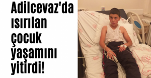 Bitlis’te ısırılan çocuk yaşamını yitirdi