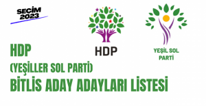 HDP (YSP) Bitlis milletvekili aday adayları listesi