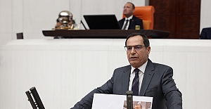 Bitlis Milletvekili Olan, Sağlık Bakanlığı bütçe görüşmesinde konuştu