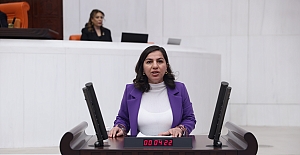 Bitlis milletvekili Gökalp 17 bakanlığa Kürt dilinin kamusal alanda neden kullanılamadığını sordu