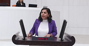 Gökalp Bitlis'teki seçmen usulsüzlüklerini meclise taşıdı